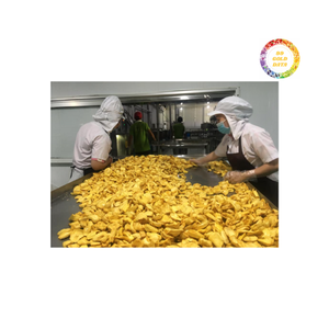 Chips de Jaca crujientes y sabrosas hechas de fruta tropical fresca, ideales para el mercado global de bocadillos - Product Image 5