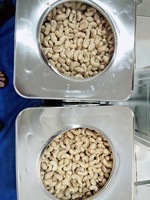 Vietnamese biologische rauwe cashewnoten van hoge kwaliteit W320 W240 LP voor export groothandel