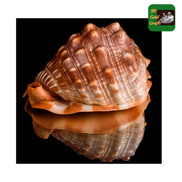 สีธรรมชาติ