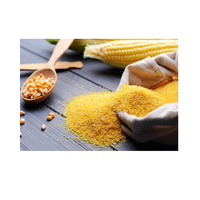 Amidon de maïs de haute qualité/amidon de tapioca Farine de maïs sans gluten Amidon pour la qualité alimentaire