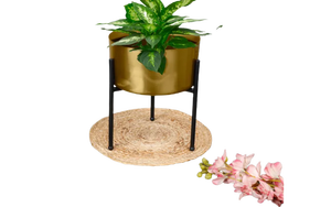 Jardinières de fleurs de différents designs Finition colorée Décoration d'intérieur Jardinière de sol Design de salon Pots de fleurs en métal - Product Image 3