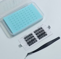 2026 En gros Extensions de cils en grappe à presser, en matériau PBT sans cruauté animale, épaisseur 0,07 mm, segmentées, 3D Wispy3D, réutilisables, naturelles, invisibles, effet œil de chat