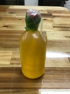 Huile végétale naturelle Sachi Inchi Plukenetia Volubilis Linneo Sachi ichi Origine Vietnam - Product Image 2