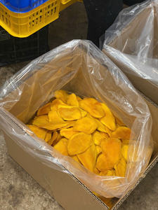 มะม่วงอบแห้งคุณภาพพรีเมี่ยมจากเวียดนามผลไม้เขตร้อนสำหรับผู้นำเข้าร้านค้าปลีกและผู้จัดจำหน่าย - Product Image 3