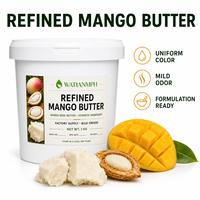 Beurre de mangue raffiné désodorisé : Matière première standard pour les formulations d'émulsions lisses