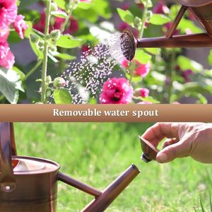 Arrosoir en métal Elegance pour votre jardin Nourrir la nature L'arrosoir en métal classique - Product Image 4