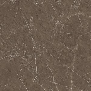 Diseños elegantes y resistencia se combinan en azulejos de porcelana de 600x600 mm de la India, calidad premium, diseños atemporales, aspecto moderno, azulejos en India. - Product Image 3