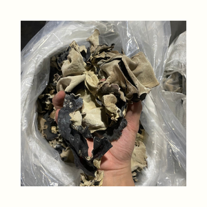 Dried Cloud Ear Fungus Mushroom Suitable for Soup Stir Fry and Food Industry Processing Use - Product Image 1