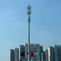Poteau monopode en acier galvanisé résistant aux vents forts pour la communication mobile
