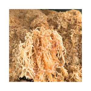 Algues séchées de haute qualité Eucheuma Cottonii Idéal pour la transformation des aliments végétaliens Substitut de gélatine et gels de soin de la peau - Product Image 6