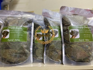 Thé de feuilles de corossol séchées biologiques fiables, feuilles de graviola fournie par un producteur agricole de confiance du Vietnam - Product Image 4