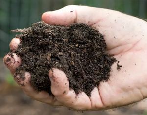 Fertilizante de estiércol de jardinería de terraza de alta calidad, estiércol Vermi Compost Bio Fertilizante - Product Image 5