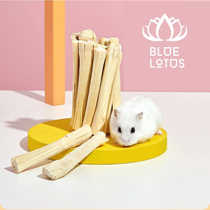 Bâton de canne à sucre séchée en bambou doux pour animal de compagnie, Hamster, souris, jouets à mâcher, nettoyage des dents - Product Image 2