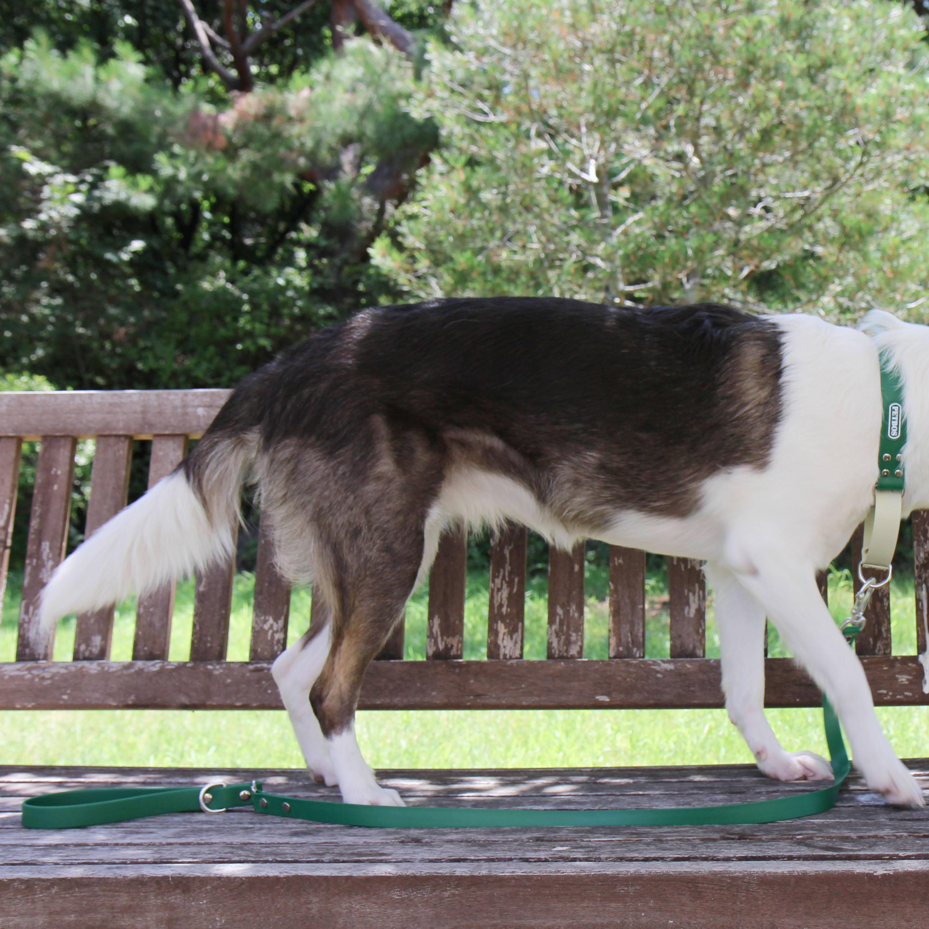 สีเขียว