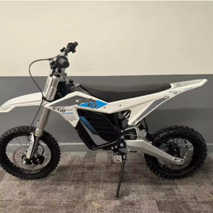 Moto de course sportive en acier Springwind SR250 OEM - Neuve, origine américaine - Product Image 1