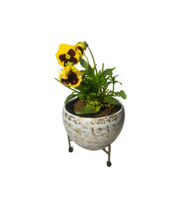 Jardinière en métal au design tendance de qualité supérieure avec finition brillante classique pour balcon, jardin et décoration intérieure - Product Image 1