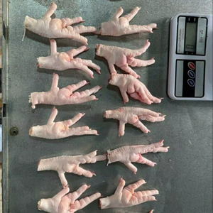 Patas de Pollo IQF HALAL de Sudáfrica, 12 Meses de Duración, Entrega Rápida, Calidad Premium - Product Image 1