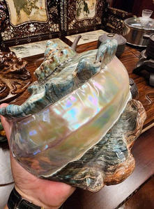 Turbo Seashell Hoteles Resorts Restaurantes Decoración Creative Coastal Inspirado Centros de mesa Bulk Mayorista Exportación Proveedor - Product Image 3