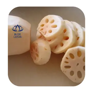 Cheap Canned Lotus Root From Vietnam