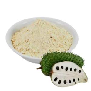Vietnam Ho Chi Minh-Ville Usine En Gros Lyophilisé Soluble Dans L'eau Graviola Soursop Fruit Poudre EXPAD Marque 24 Mois De Conservation - Product Image 5