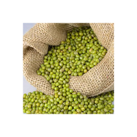 Haricots Mung Verts Brésiliens Séchés 100% Biologiques de Qualité Supérieure en Vrac 10kg au Prix de Gros