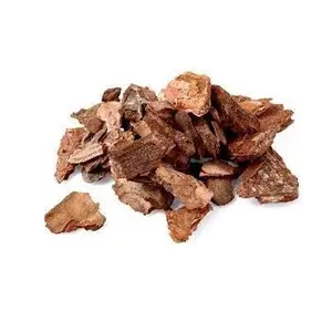 Alta Qualidade Atacado Fábrica Preço Planta extrai Pine Bark Extract melhor qualidade da índia pronto para enviar