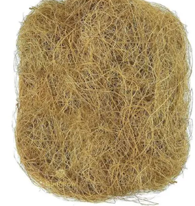 ส่งออกใยมะพร้าว ราคาดีที่สุดในตลาด จากเวียดนาม คุณภาพสูง - Product Image 4