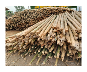 เสาไม้ไผ่ธรรมชาติใช้เป็นวัตถุดิบ - Product Image 1