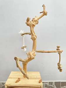 Hot Mặt Hàng Bền Vững <span class=keywords><strong>Java</strong></span> Gỗ (Cà Phê Gỗ) Cây Cho Vẹt Chơi Đứng Bán Buôn Chim Nguồn Cung Cấp Từ Màu Xanh Sen Trang Trại - Product Image 3