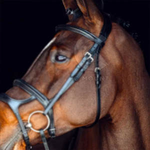 Bride de cheval en cuir de Dressage d'approvisionnement direct d'usine avec bride de cheval en cuir de couleur et de taille fabriquée par le Pakistan - Product Image 6