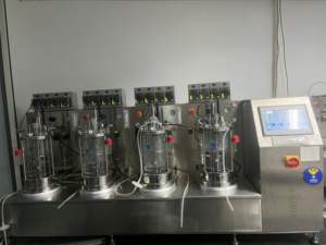 Biorreactor de laboratorio Bailun 5L, biorreactor de vidrio con agitación magnética utilizado para sustrato para fermentación en el momento de la fermentación - Product Image 2