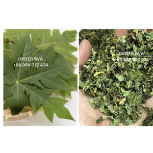 MEILLEUR VENDEUR NON-GMO FEUILLES DE PAPAYE SÉCHÉES FEUILLES DE PAPAYE BIOLOGIQUES DU VIETNAM - Product Image 4