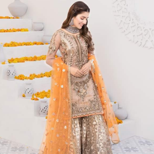 Atractivo vestido nupcial bordado de fiesta para mujer Gharara vestido indio y paquistaní bordado atractivo vestidos de fiesta para mujer - Product Image 5