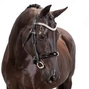 Abito a briglia Western Full Horse, briglia da Dressage all'ingrosso In pelle di cavallo In fettuccia di Nylon rivestita In PVC