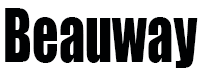 Anhui Biaowei Machinery Manufacturing Co., Ltd. logo