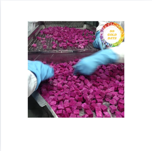 Fruta de dragón congelada, fruta tropical natural de origen vietnamita perfecta para el consumo directo de zumo, cocina, panadería y comercio al por menor - Product Image 1