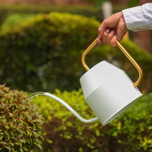 Caño largo minimalista nórdico moderno y lata de agua con mango dorado para decoración de jardín - Product Image 1