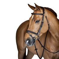 Selle de cheval western anglaise en cuir marron de haute qualité avec bride, arceau en bois, boucle en laiton et design protecteur