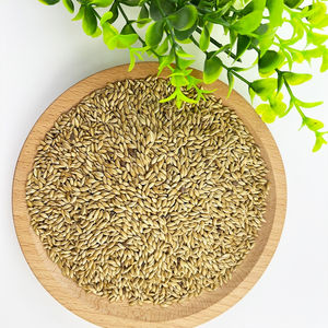 Productos para Mascotas, Alimento para Aves, Semillas de Alpiste, Semillas para Canarios, Granos de Alpiste para Canarios - Product Image 4