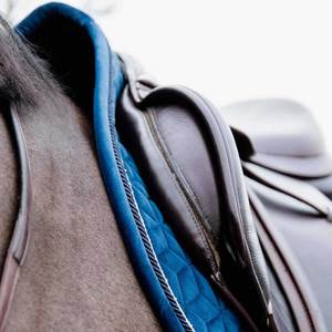 Almohadilla de sillín personalizada al por mayor | Manta de sillín equino de doma y salto de gama alta en inglés, equipo ecuestre para montar a caballo - Product Image 4