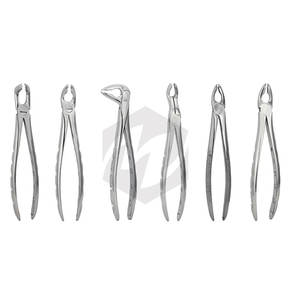 Forceps dentaires de qualité supérieure, manche fantaisie, acier inoxydable allemand, forceps d'extraction dentaire / pinces dentaires - Product Image 6