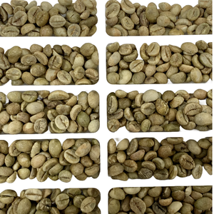 โรบัสต้า S18ถั่วเขียวจากฟาร์ม18 + มาตรฐานส่งออกในยุโรป - Product Image 5