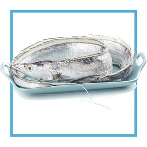 BQF pescado redondo entero fresco congelado a la venta - Product Image 1