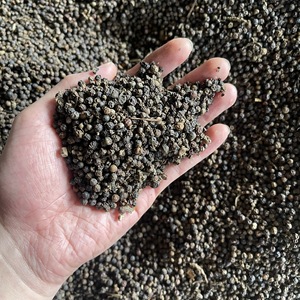 Poivre noir 500 FAQ prix entier pas cher avec haute qualité en gros qualité qualité d'exportation MR THOMAS 84 789896886 - Product Image 3