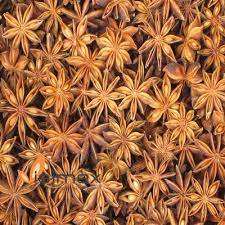 Anis étoilé de qualité supérieure 100% naturel à haute teneur en huile Origine Vietnam Vente en gros disponible WA +84 35 254 2206 - Product Image 6