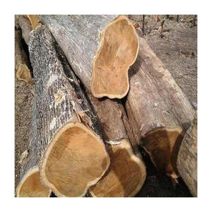 Affordable merbau <b>logs</b> supplied in bulk with reliable worldwide delivery - Product Image 6