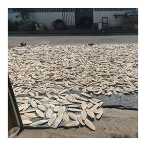 Os de seiche de qualité supérieure en blister pour oiseaux et perroquets, fabriqué au Vietnam - Product Image 2