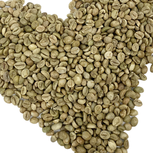 Pantalla 18 + Robusta Vietnam Granos de café verde Grado especial Natural Seco Exportación Calidad Granja Directo al por mayor - Product Image 1