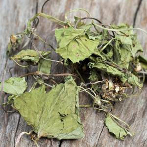 ใบเพนนีเวิร์ทจากฟาร์มเป็นทางเลือกที่ดีที่สุดใบบัวบกแท้ส่งตรงจากฟาร์ม - Product Image 4