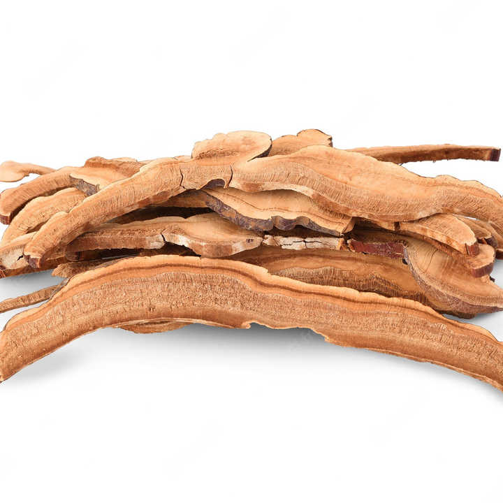 Dried Top Grade Vietnam Fresh Red Reishi Mushroom Slice for Making Tea or Coffee